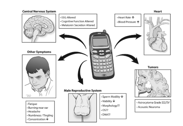 電磁輻射知識(shí)科普：為什么信號(hào)越弱，手機(jī)輻射越大？