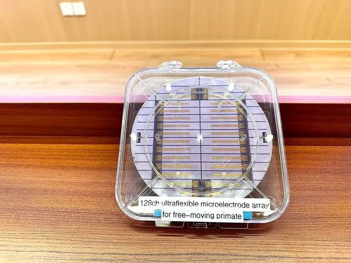 北腦二號(hào)填補(bǔ)我國(guó)高性能侵入式腦機(jī)接口空白